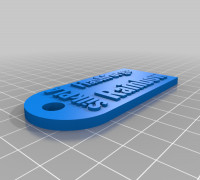 Rainbow FlashForge Silk PLA  Filament Sample Tag 3D model