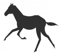 Wall  Decor Horse 3D model