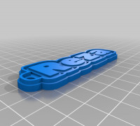 Reza key 3D model