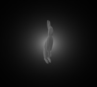 Rabbit 3D model