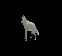 Arctic fox 3D model