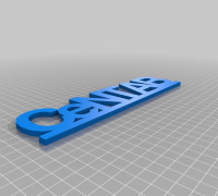 centab1 3D model