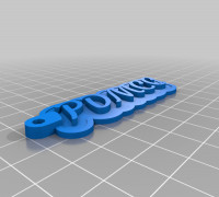 pdmcc key ring 3D model