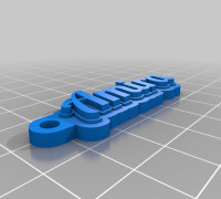 Amira 3D model