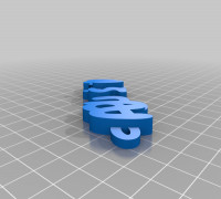 agustin 3D model