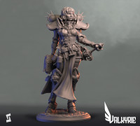 The Valkyrie 3D model