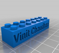 Vinit Chaudhari 3D model