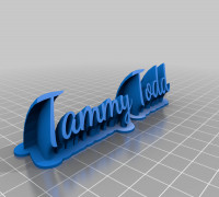 Tammy 2 3D model