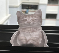 Kitten Lithophane 3D model