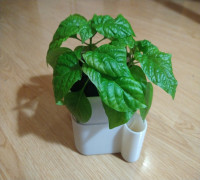 Simple flower pot 3D model