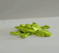 Alligator Turtle Flexi 3D model