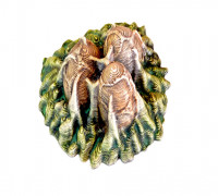 Alien Eggs V1 3D model