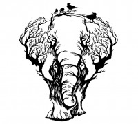 2D Elephant 1 3D model