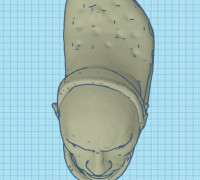 THE cROCK 3D model
