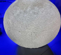 Moon Lampshade 3D model