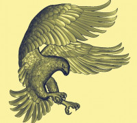 eagle 3d stl relief model 3D model