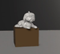 Shih Tzu 3D model