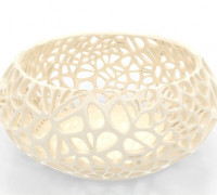 Small Voronoi Vase 3D model
