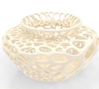 Medium Voronoi Flower Vase 3D model