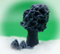 Walking Mushroom: False Morel 3D model