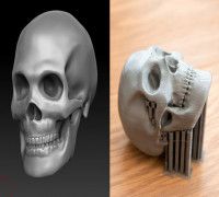 Skull  3D model