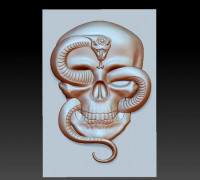 skull and snake model of bas-relief 3D model