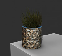 Plant Pot Geometry Design 3D model