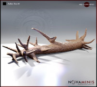 Fallen Tree 01 3D model