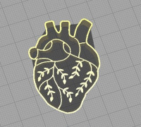 Cortante corazon anatomico 3D model