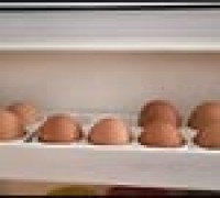 Egg holder 3D model