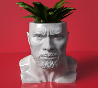 Planter, D. Johnson 3D model