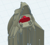Eye socket with eye turner tool 3D model