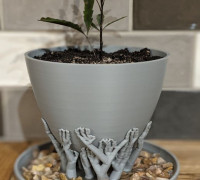 Tree Support Pot 3D model