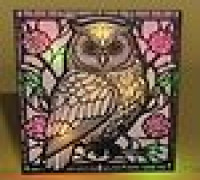 owl in a frame 3D model