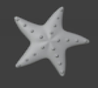 Starfish 3D model