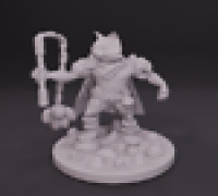 Cat Cleric/Warrior/Fighter 3D model