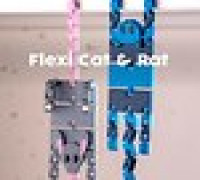 Flexi Cat & Rat 3D model