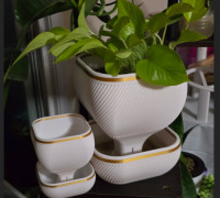 Self-watering pot 3D model