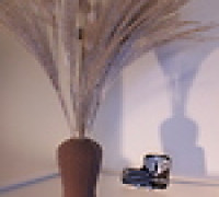 Wavy Umber Vase  3D model
