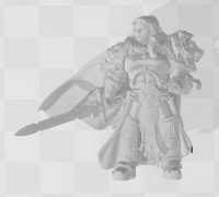 Shield Captain Valdraice 3D model