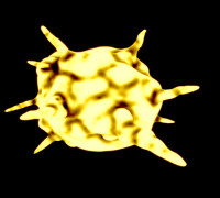 Action Explosion Effect part 2 3D model