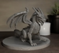 Young Dragon / Wyrmling (DND / TTRPG) 3D model