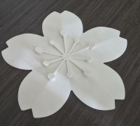 Sakura flower wall decor 3D model