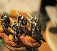 Warhammer 5 Unit Movement Base 3D model