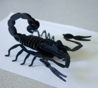 Scorpion 3D model