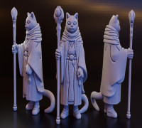 Tabaxi Wizard (DND / TTRPG) 3D model