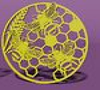 honey bee 3D model