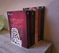 Book Stand V2 Voronoi (2 sizes) 3D model