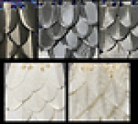 Scale Mail - 5 Different Types 3D model
