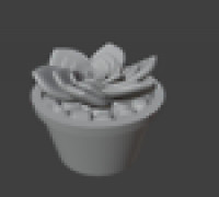 Succulent in pot 2 3D model
